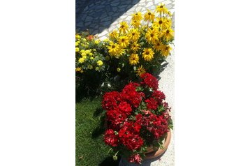 Mazedonien Privát Peshtani, Exterieur